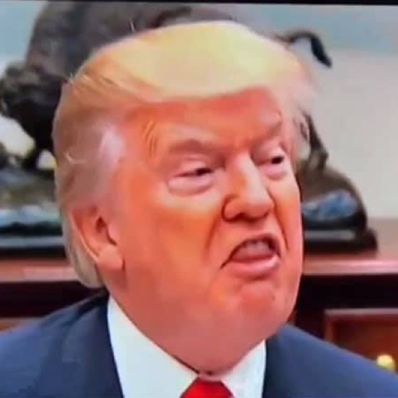 Meet your Posher, Collin - Picture 1 of 1